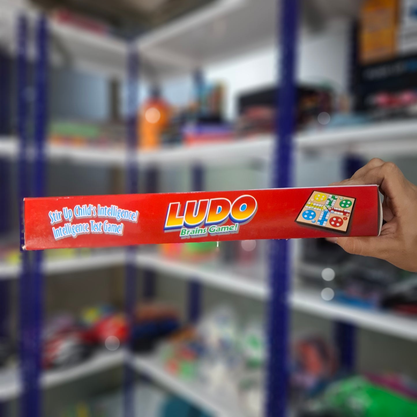 Magnet Ludo