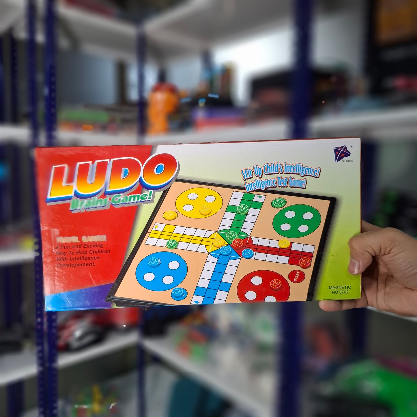 Magnet Ludo