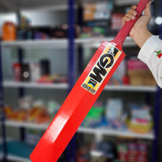 Cricket Bat for Juniors (GM)