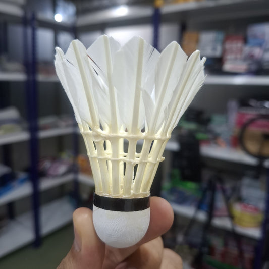 Feather Shuttlecock (WECAN)